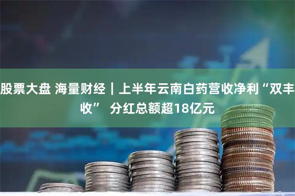 股票大盘 海量财经｜上半年云南白药营收净利“双丰收”  分红总额超18亿元